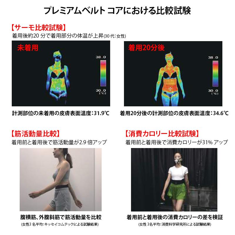 ターボセル メール便発送 プレミアムベルト コア ウエストシンチャー