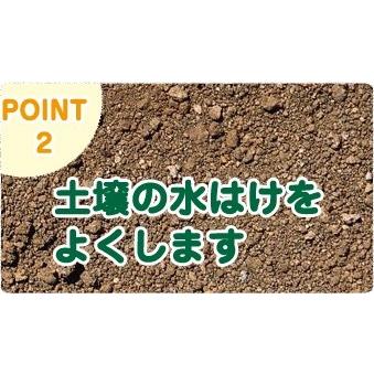 団粒化促進剤　たがやすくん（原液50cc)｜seiken-store-pro｜03