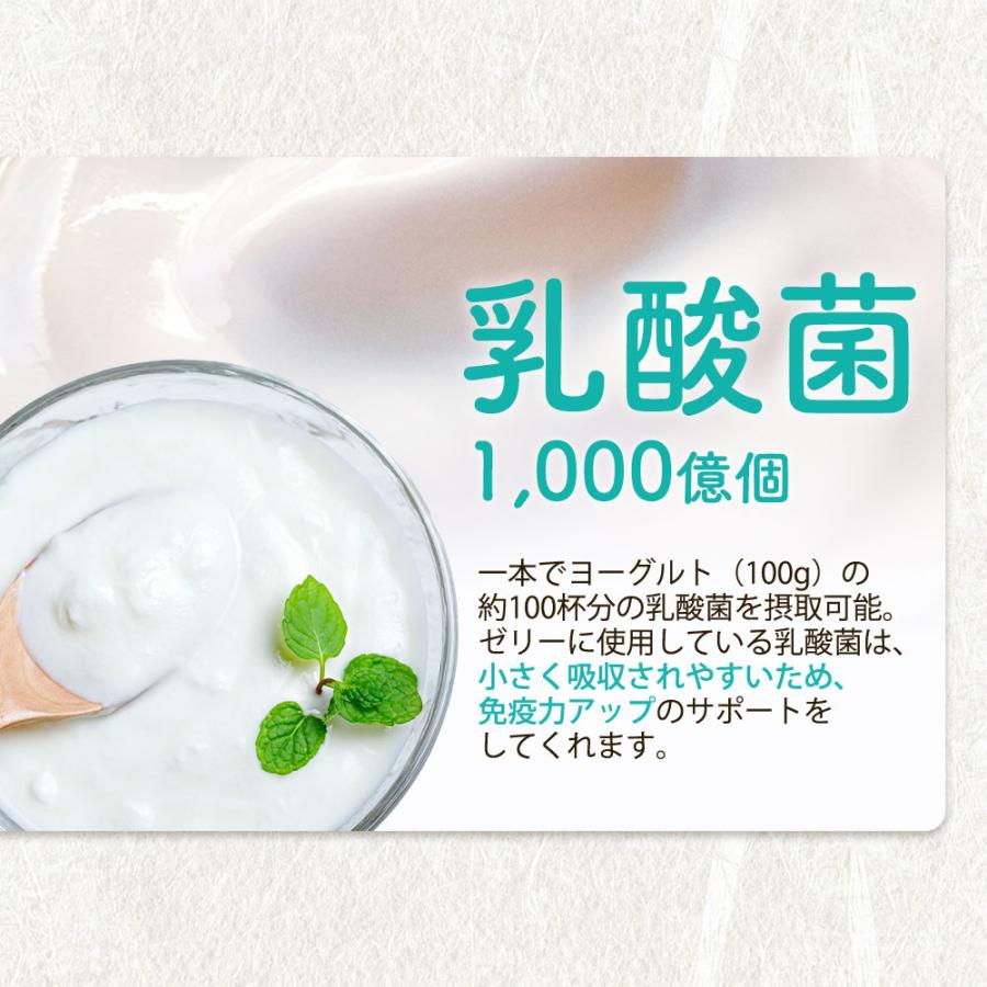 贅沢青汁ゼリー 30包入 酵素 乳酸菌 フルーツ青汁 栄養補給 野菜