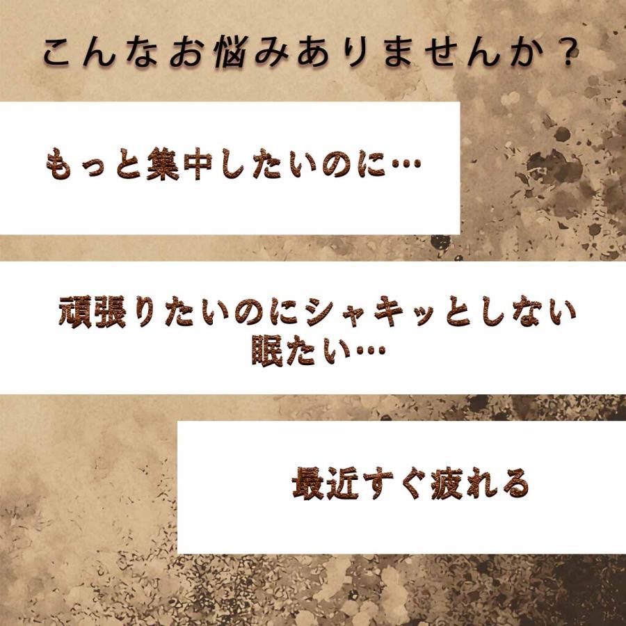 【カフェインサプリ＋】 100粒入 サプリメント 誠輝堂 錠剤 集中 眠気覚まし スッキリ 仕事や勉強前に 送料無料｜seikido｜03