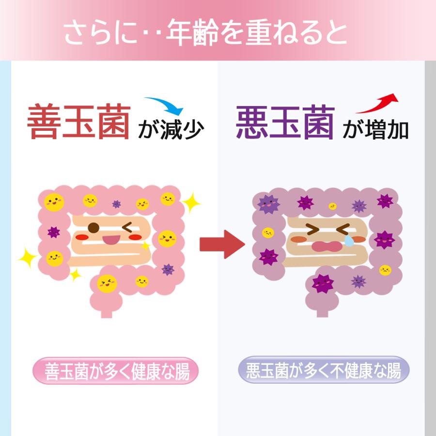 乳酸菌チュアブル 30粒入 約1ヶ月分 ヨーグルト味 1粒乳酸菌1500億個 