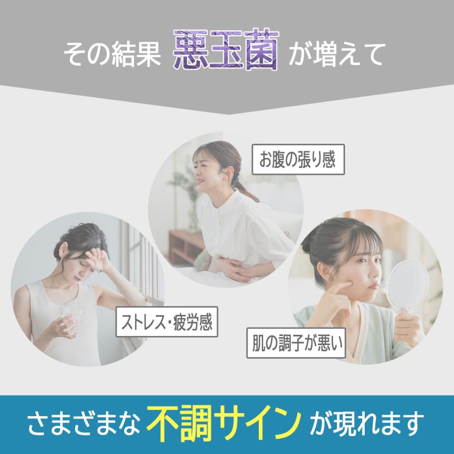乳酸菌チュアブル 30粒入 約1ヶ月分 ヨーグルト味 1粒乳酸菌1500億個 