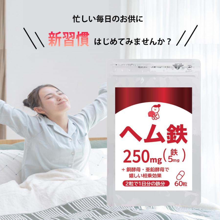ヘム鉄(90粒)×2本 Amazon | DHC ヘム鉄 90日分 (180粒) | DHC | 鉄分