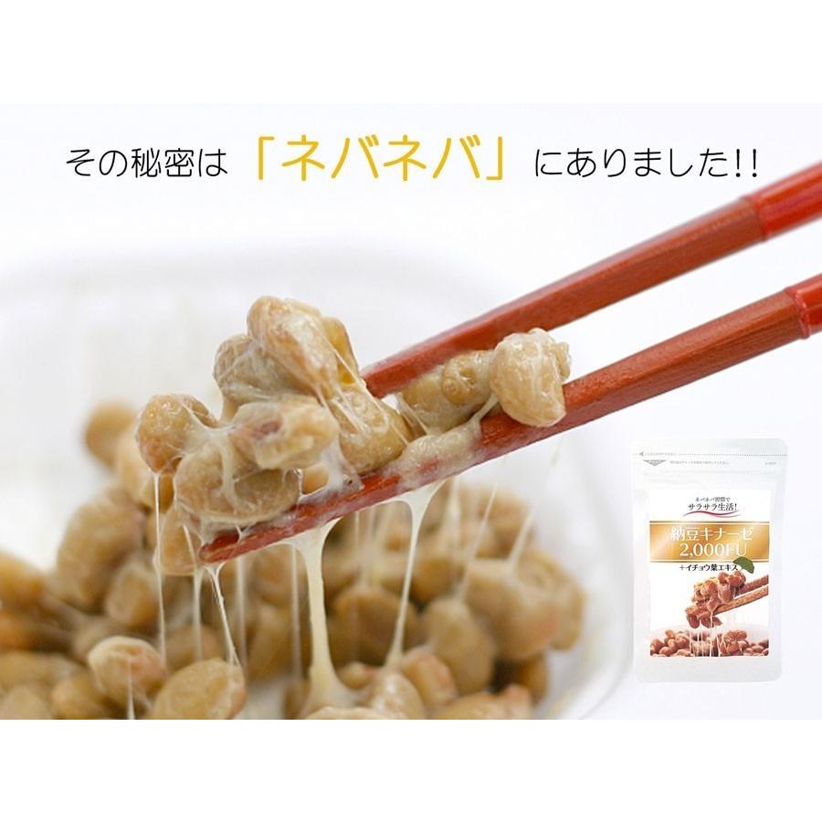 納豆キナーゼ2,000FU 60粒入 約1ヶ月分 ナットウキナーゼ サプリメント