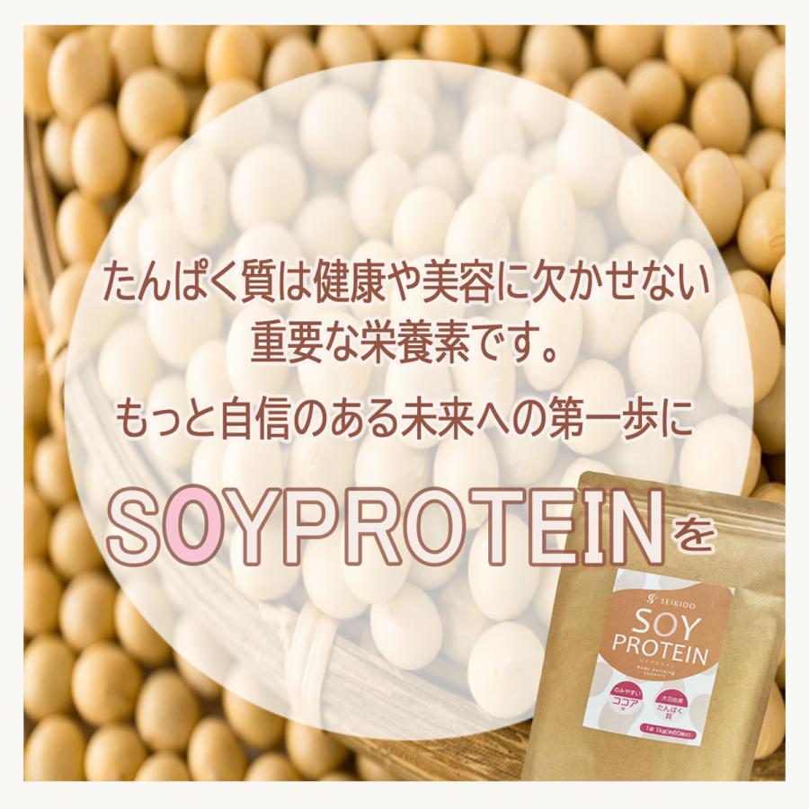 SOY PROTEIN ソイプロテイン 1kg ココア味 たんぱく質 置き換え