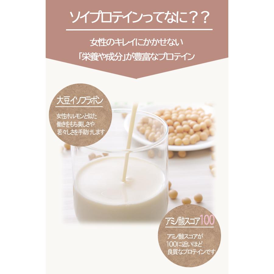 SOY PROTEIN ソイプロテイン 1kg ココア味 たんぱく質 置き換え
