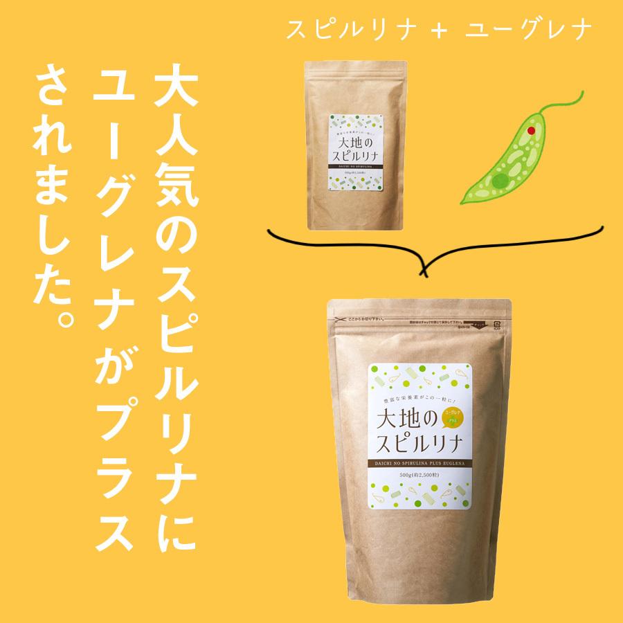大地のスピルリナ+ユーグレナ 500g マルチビタミン&ミネラル