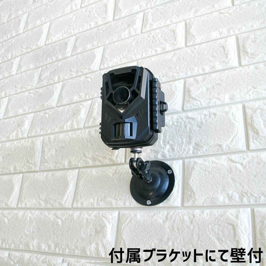 キャロットシステムズ オルタプラス フルハイビジョン 乾電池センサー