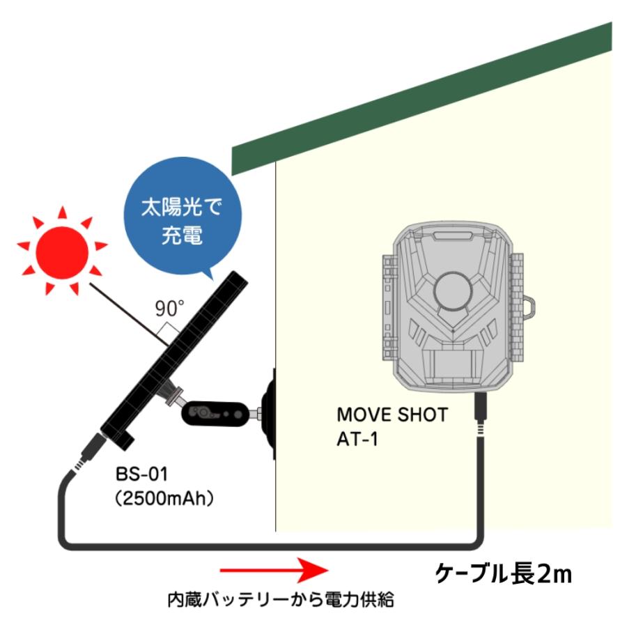 キャロットシステムズ オルタプラス 乾電池センサーライト防犯カメラAT 