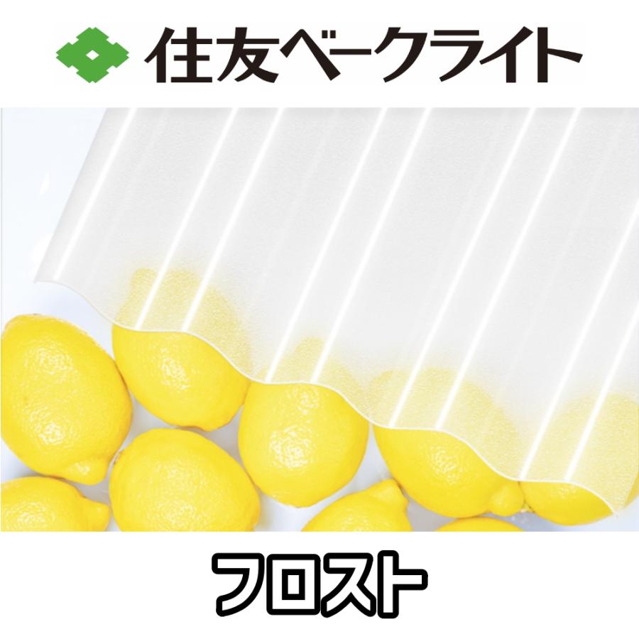 住友ベークライト ポリカ 波板 10尺 3030x655mm ポリカーボネート 10枚セットの画像
