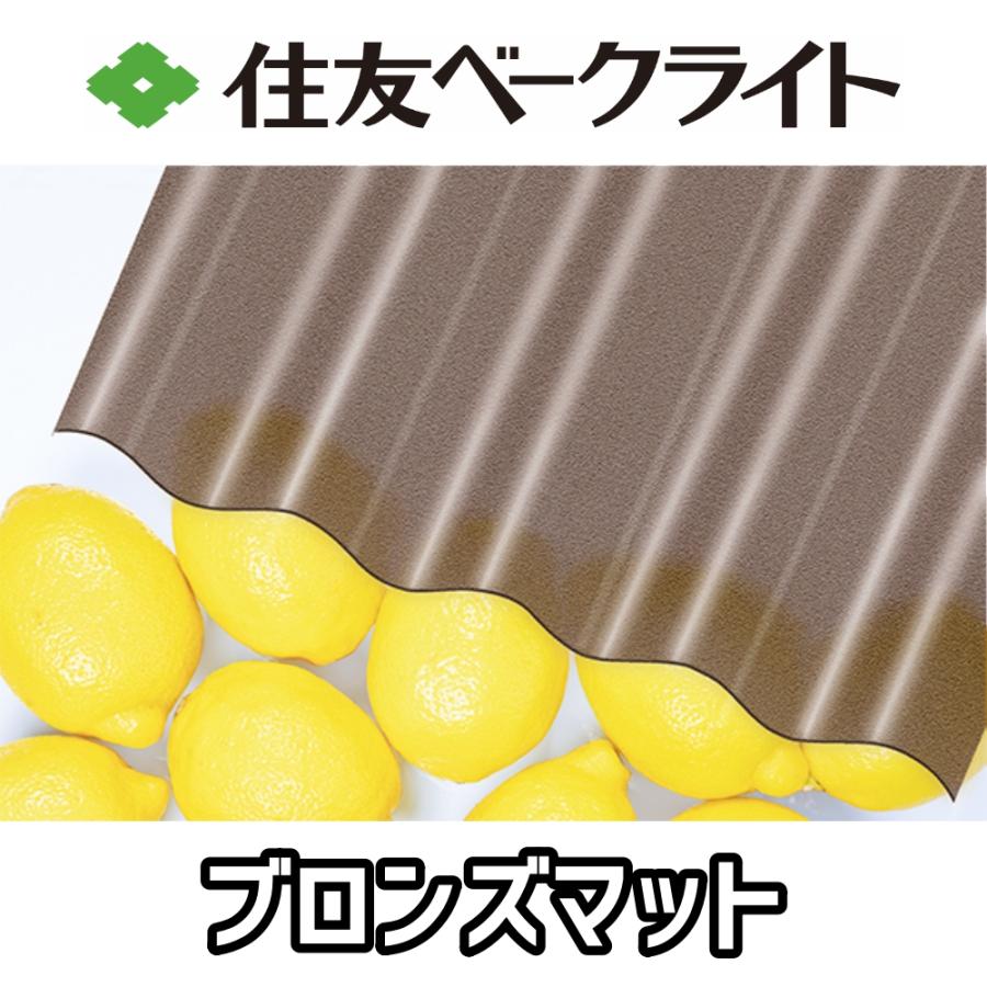 住友ベークライト ポリカ 波板 10尺 3030x655mm ポリカーボネート 10枚セットの画像
