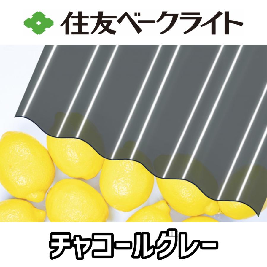 住友ベークライト ポリカ 波板 10尺 3030x655mm ポリカーボネート 10枚セットの画像