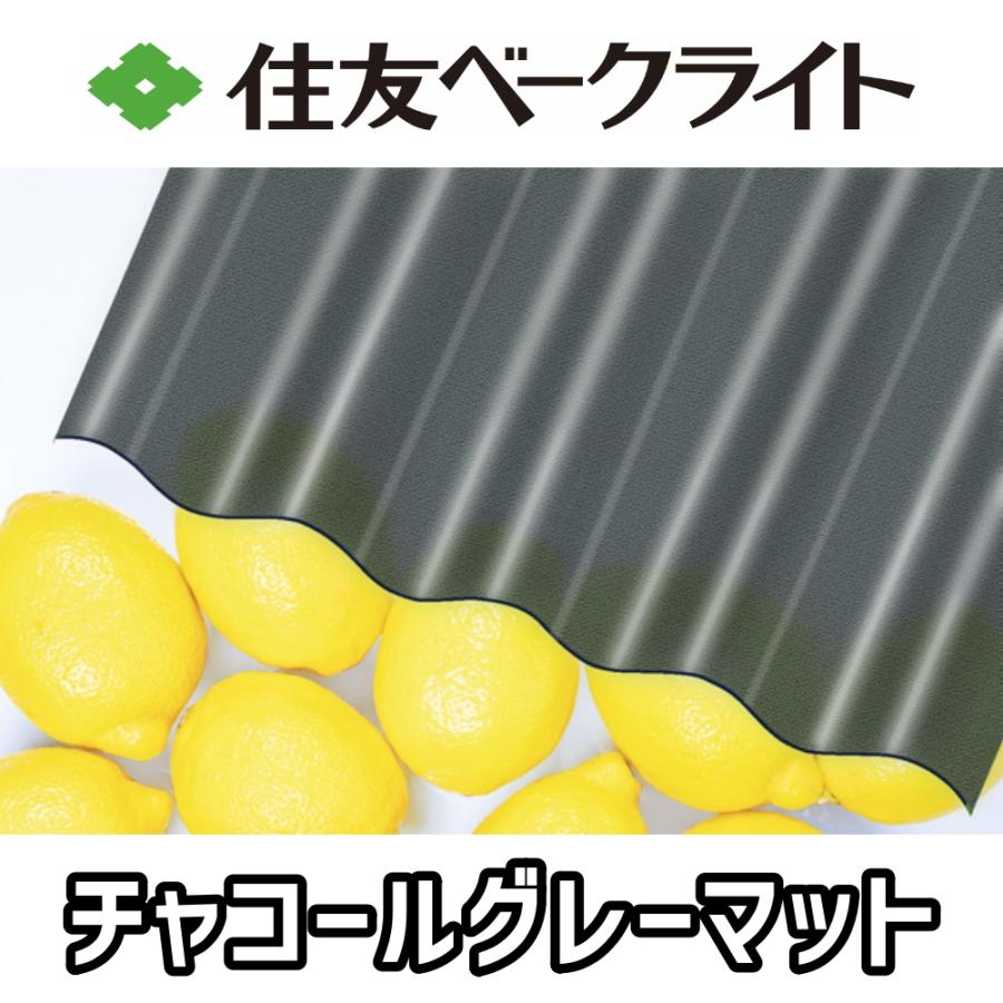 住友ベークライト ポリカ 波板 10尺 3030x655mm ポリカーボネート 10枚セットの画像
