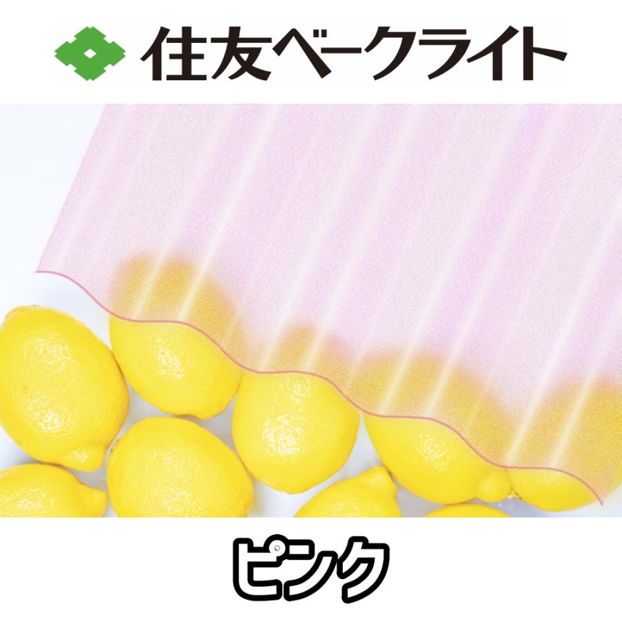 住友ベークライト ポリカ 波板 10尺 3030x655mm ポリカーボネート 10枚セットの画像
