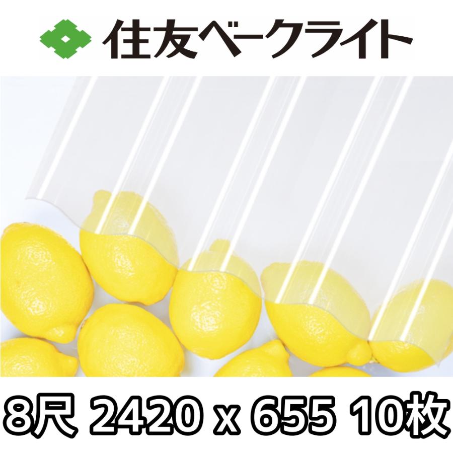 住友ベークライト ポリカ 波板 8尺 2420x655mm ポリカーボネート 10枚 