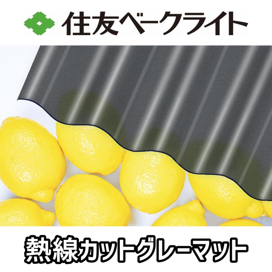 住友ベークライト 熱線カットポリカ 波板 7尺 2120x655mm ポリカーボネート 10枚セットの画像