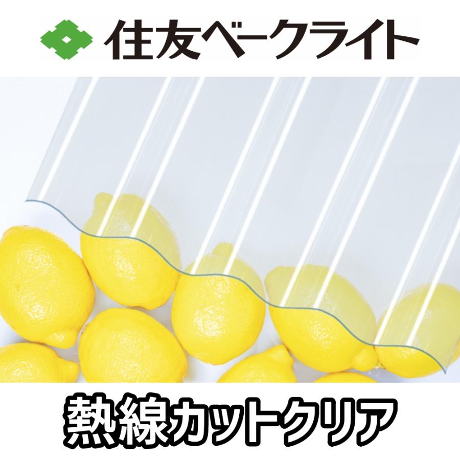 住友ベークライト 熱線カットポリカ 波板 9尺 2730x655mm ポリカーボネート 10枚セットの画像