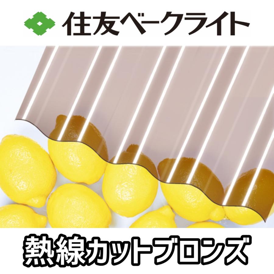 住友ベークライト 熱線カットポリカ 波板 9尺 2730x655mm ポリカーボネート 10枚セットの画像