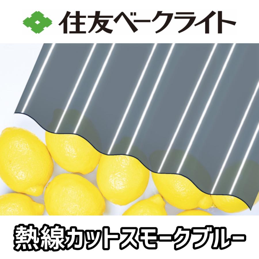 住友ベークライト 熱線カットポリカ 波板 9尺 2730x655mm ポリカーボネート 10枚セットの画像