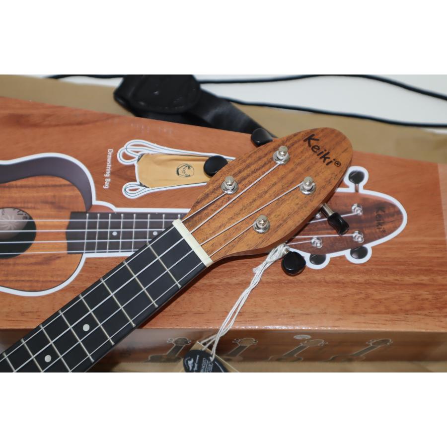 写真の現品販売！ORTEGA KEIKI K3-ACA Pack　教則DVDプレゼント中！_2