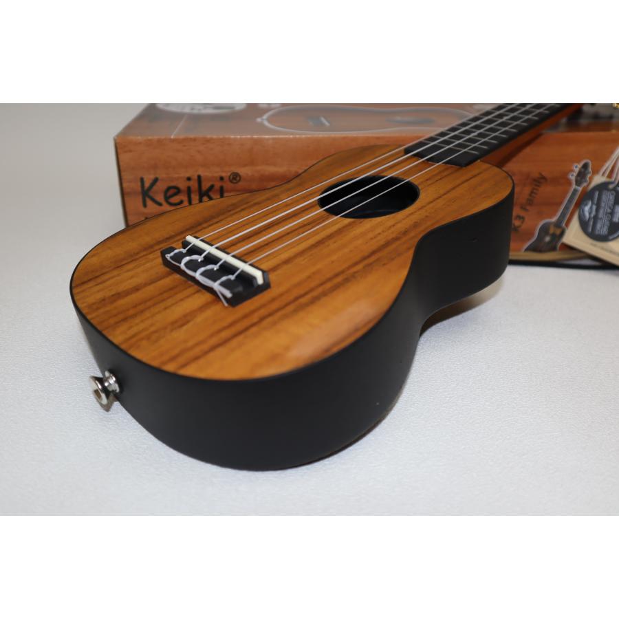 写真の現品販売！ORTEGA KEIKI K3-ACA Pack　教則DVDプレゼント中！_4