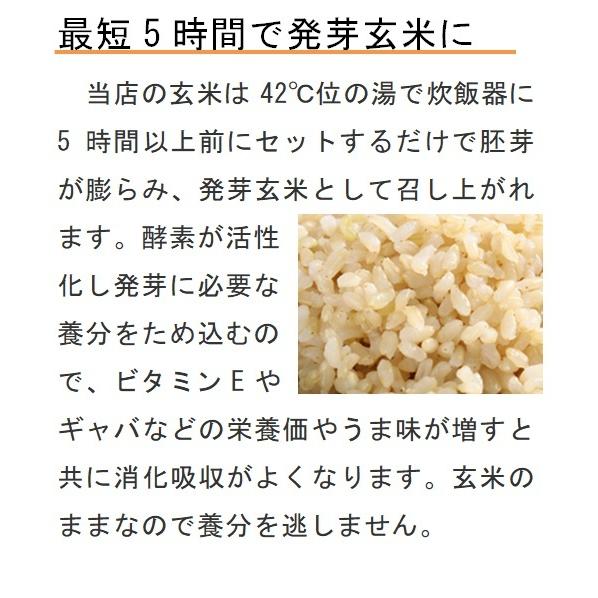 コシヒカリ 令和7年産 自然栽培 無農薬 無肥料 天日干し 玄米10kg : 晴
