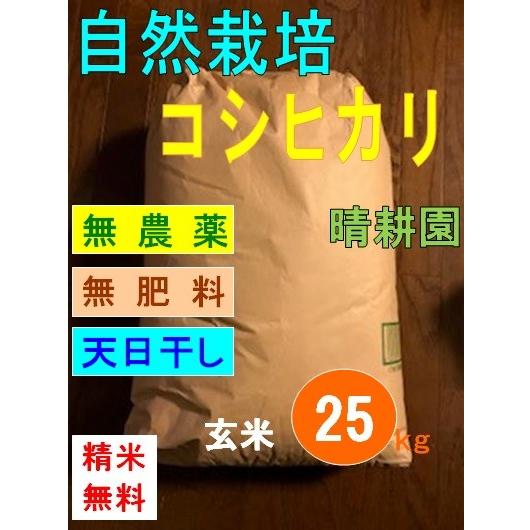 コシヒカリ 令和7年産 自然栽培 無農薬 無肥料 天日干し 玄米25kg : 晴