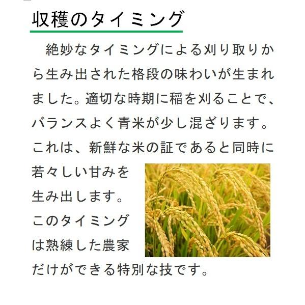 コシヒカリ 令和7年産 自然栽培 無農薬 無肥料 天日干し 玄米25kg : 晴