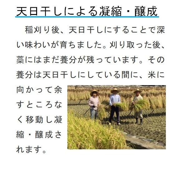 コシヒカリ 令和7年産 自然栽培 無農薬 無肥料 天日干し 玄米