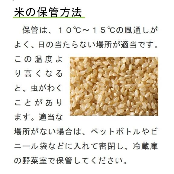 令和6年産 農薬・肥料不使用 天日干し コシヒカリ 玄米 25kg 自然栽培米 コシヒカリ 令和7年産 自然栽培 無農薬 無肥料 天日干し 玄米25kg : 晴