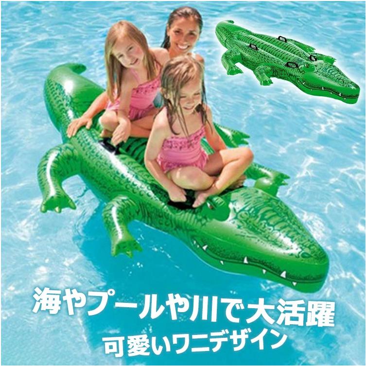 二人乗り 浮き輪 イルカジンベエザメ サーフボード ショートボード