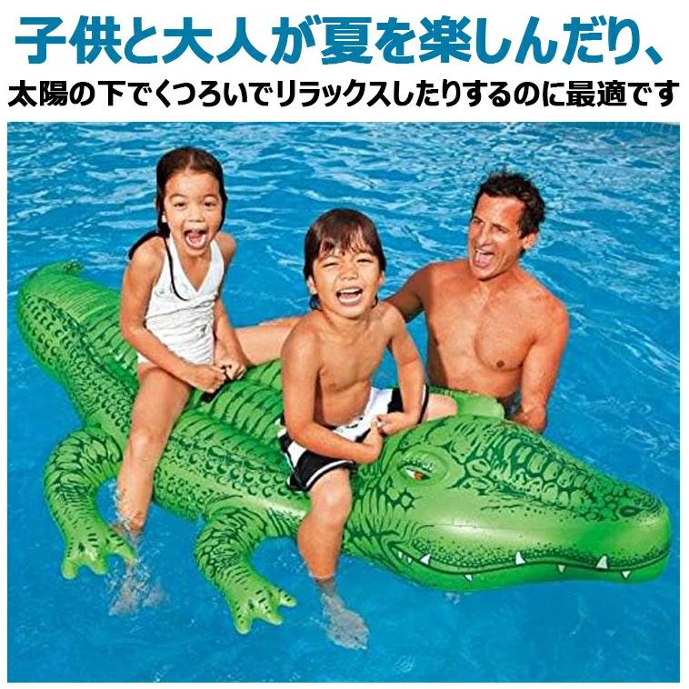 二人乗り 浮き輪 イルカジンベエザメ サーフボード ショートボード
