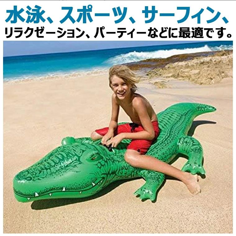 二人乗り 浮き輪 イルカジンベエザメ サーフボード ショートボード