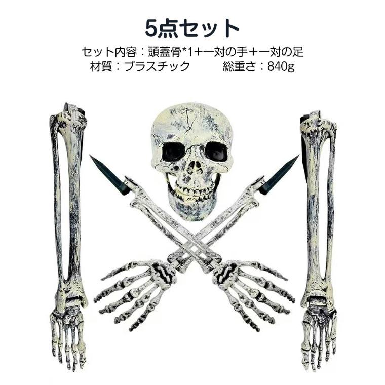 5点セット ハロウィン 骸骨 飾り スカル モデル 頭蓋骨 アーム 怖い