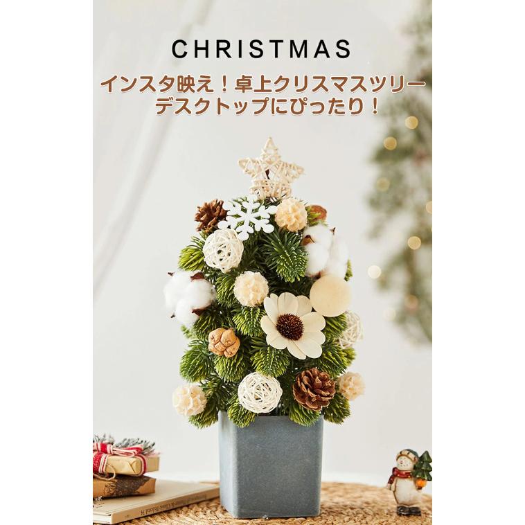 2025 クリスマスツリー 卓上 おしゃれ ミニツリー 北欧風 35cm 小さい
