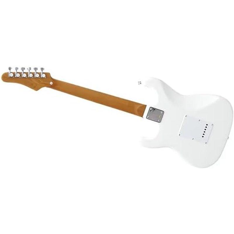 PLAYTECH (プレイテック) エレキギター ストラトタイプ カーボ