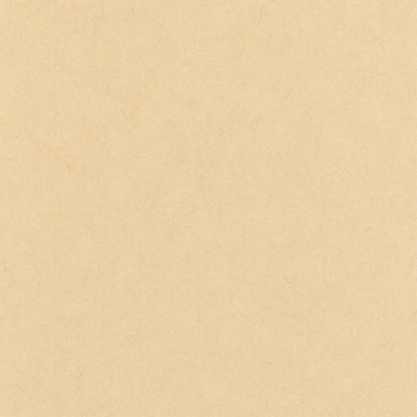 心づく紙 楮 10 Pcm竹尾 晴林堂16 通販 Yahoo ショッピング