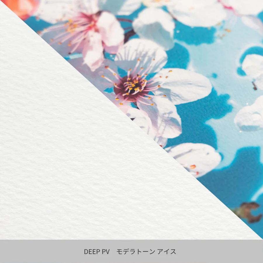 竹尾｜TAKEO DEEP PV トライアルキット 6種入 (1746764) 6枚入り