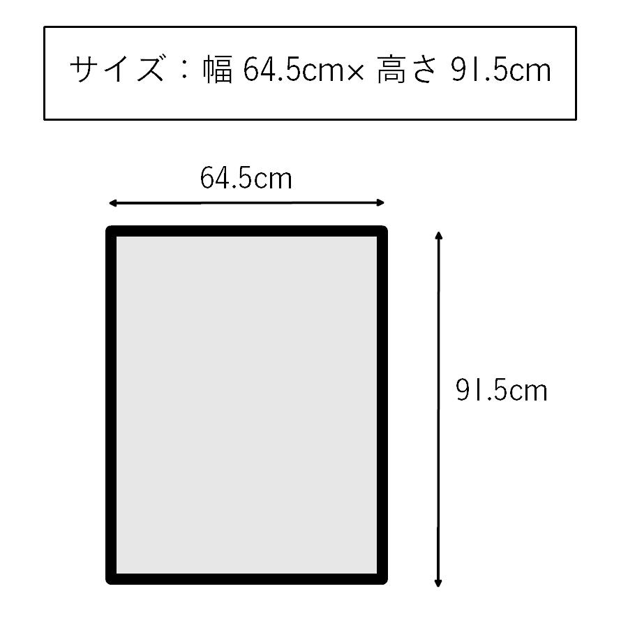 おしゃれ モダン アート 花 華 かわいい 絵画 インテリア 壁掛け X Ray キャンバスアート フリンジ チューリップ Lサイズ パネル 玄関 You Xr 鏡専門店 Niko Kira 通販 Yahoo ショッピング