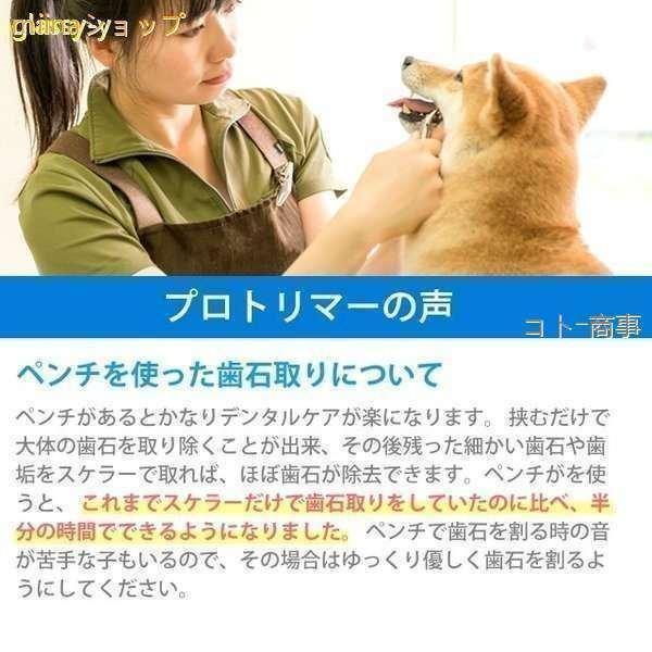 愛犬・愛猫用 歯石取り ペンチ 犬 歯石 デンタルケア ホームケア 猫 プロも愛用｜seiryu-st｜19