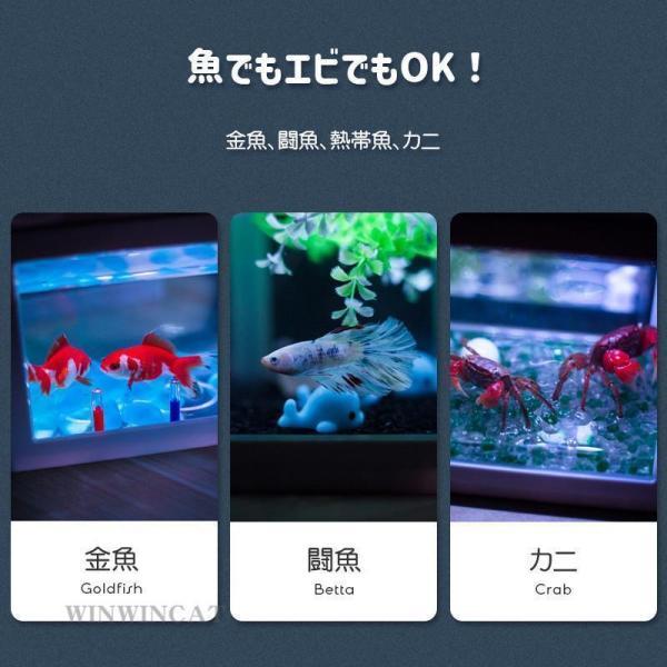 LEDライト水槽 小型水槽 テーブル水槽 水槽　LEDライト付き　USB 金魚 水族箱 ミニサイズ ミニ家庭用 水族館 水槽 魚飼育 金魚の水槽セット 熱帯魚水槽セット｜seiryu-st｜04