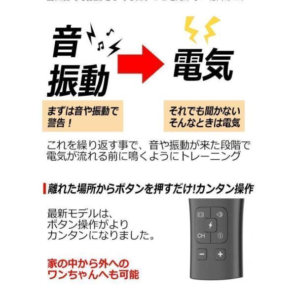 犬用 無駄吠え 禁止くん 首輪 つの しつけ 方法 音 電気 振動 ムダ吠え 無駄吠え防止 微電流 電気ショック トレーニング 近隣トラブル バッテリー 充電｜seiryu-st｜04