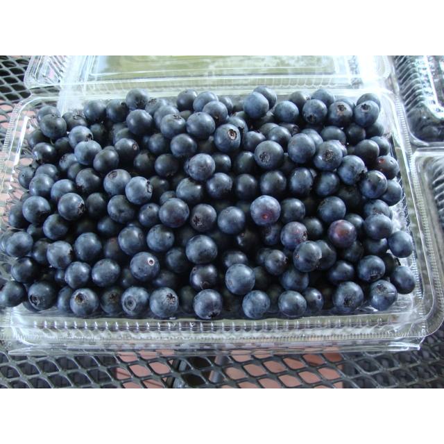 　ブルーベリー 3.0kg（500g×6パック）安心安全　無農薬　朝摘み午後発送　冷蔵便発送　6/5ごろから摘み取り順次発送 |  | 02
