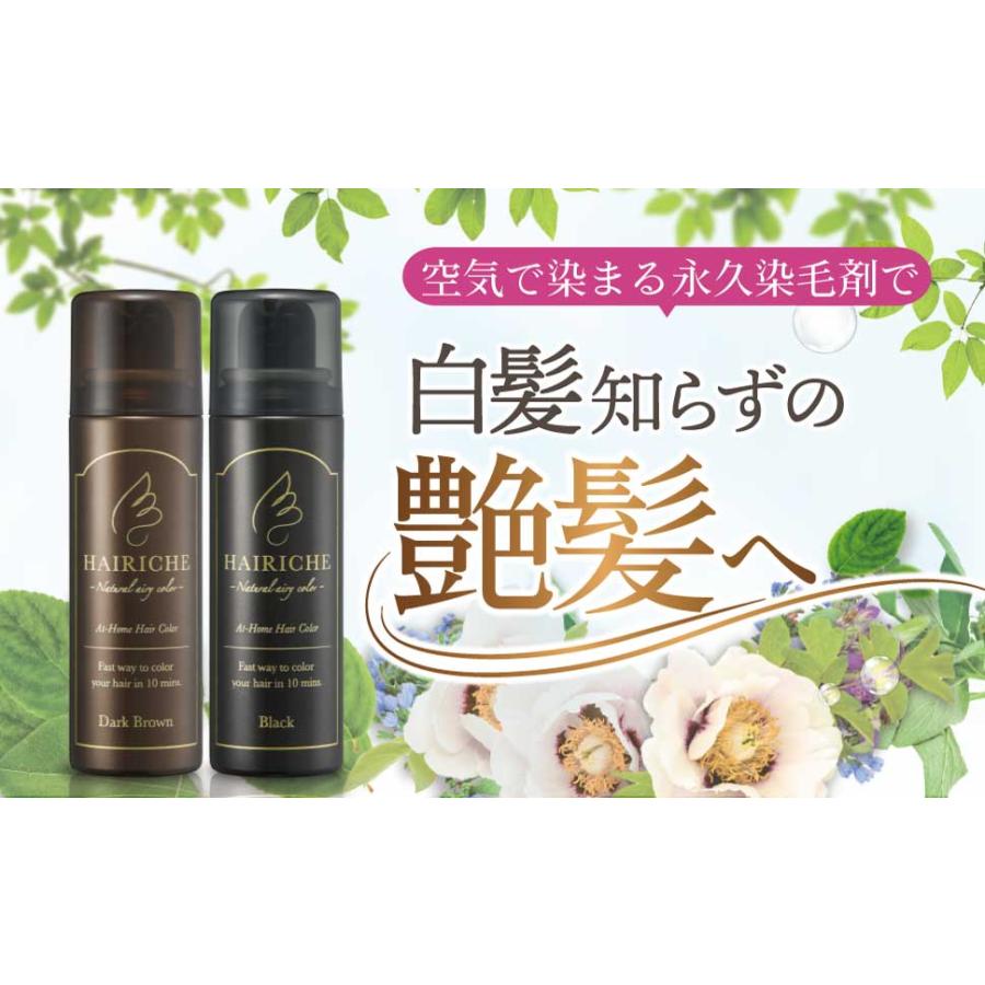 ヘアリシェ ナチュラルエアリーカラー ダークブラウン HAIRICHE ヘアリシェ ナチュラルエアリーカラー ダークブラウン HAIRICHE