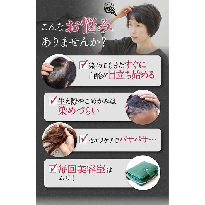 ヘアリシェ ナチュラルエアリーカラー ダークブラウン HAIRICHE ヘアリシェ ナチュラルエアリーカラー ダークブラウン HAIRICHE