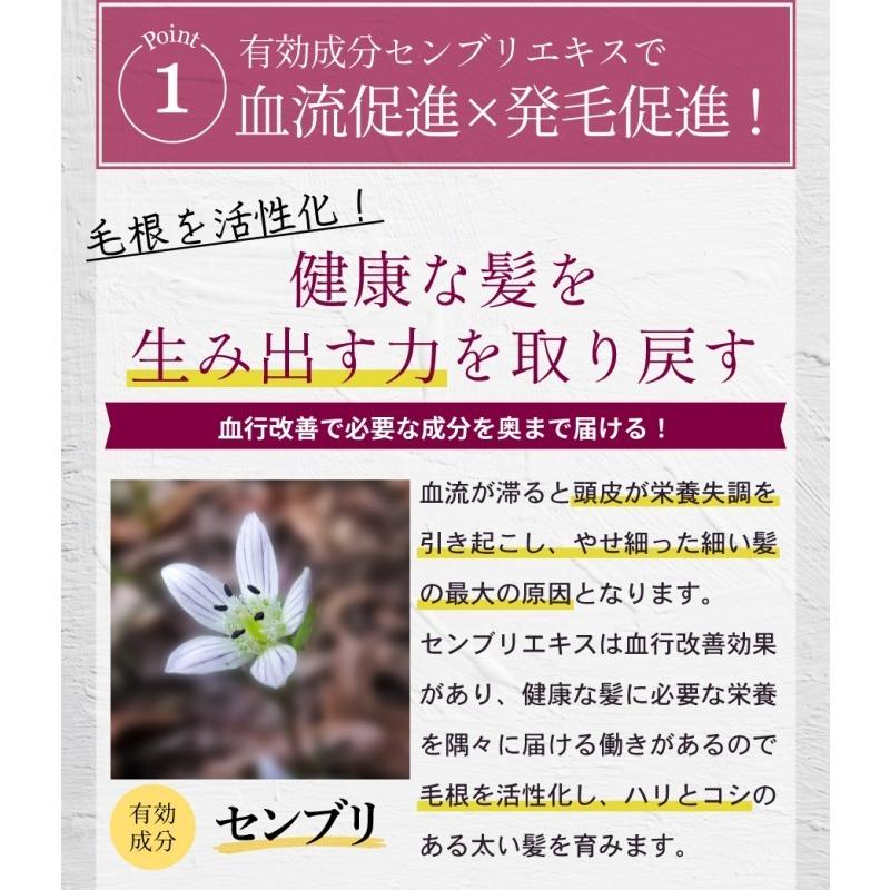 ヘアリシェ HAIRICHE 薬用スカルプエッセンス 育毛剤 送料無料 発毛