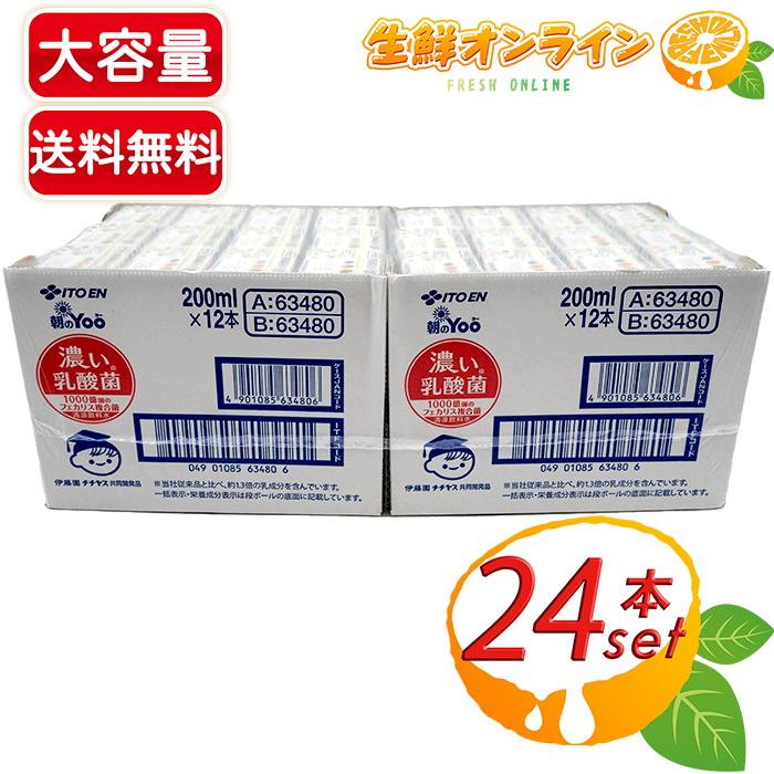 朝のYoo ≪200ml×24本セット≫【伊藤園】朝のYoo 濃い乳酸菌 紙パック