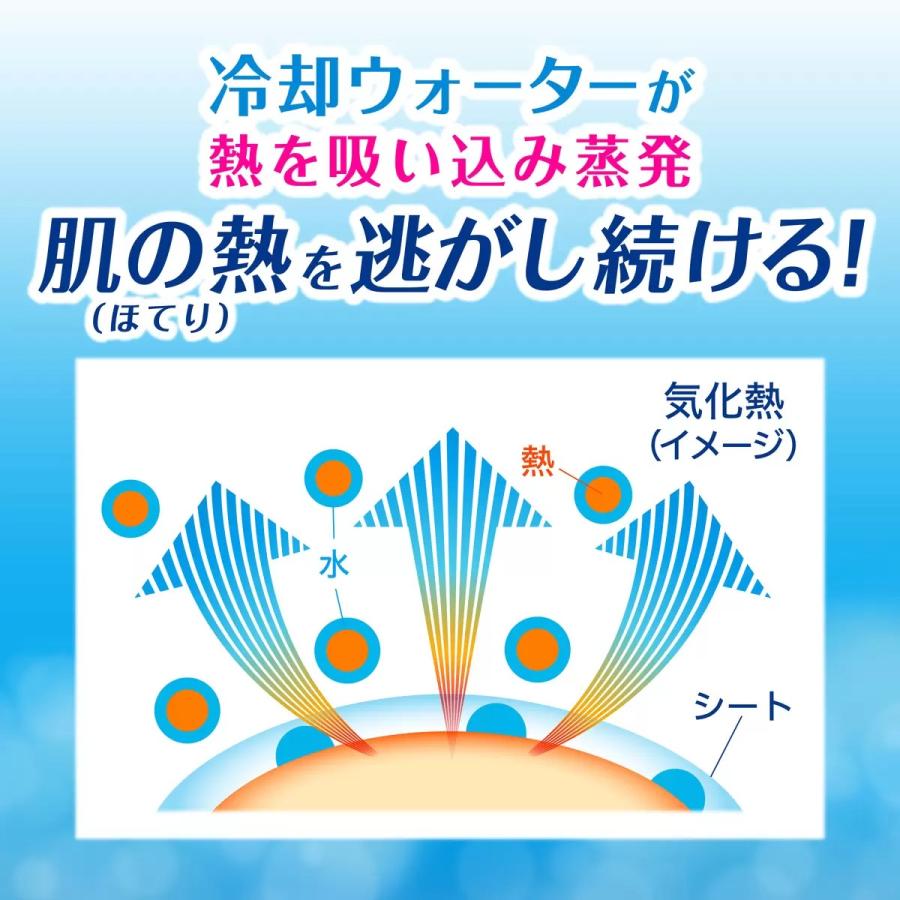 ビオレ 冷シート ≪5枚入×3パック≫【花王】ビオレ 冷タオル 無香性 大