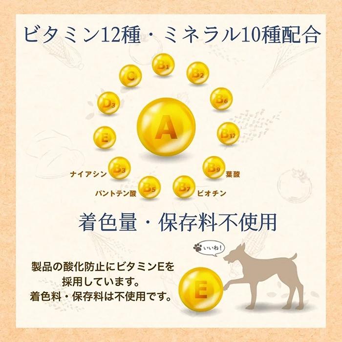 ファーストチョイス 【ファーストチョイス】チョイスS 成犬 1歳以上