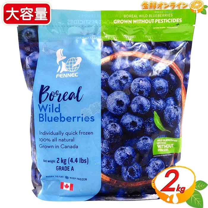 冷凍ブルーベリー 2kg コストコ（Costco） ≪2kg≫【FENNEC FOODS】冷凍 ワイルド